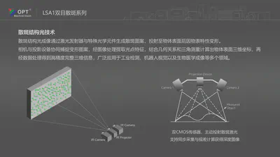 Speckle principle