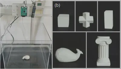 Experimental platform and submerged test objects