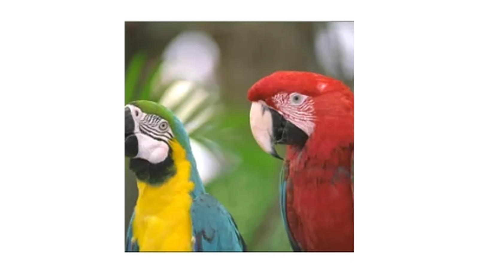 A Grayscale-Compatible Color Encoding via 8-bit HSV Bit-Packing and ...